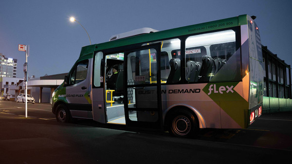 Image of a Flex bus parked at a stop during nighttime